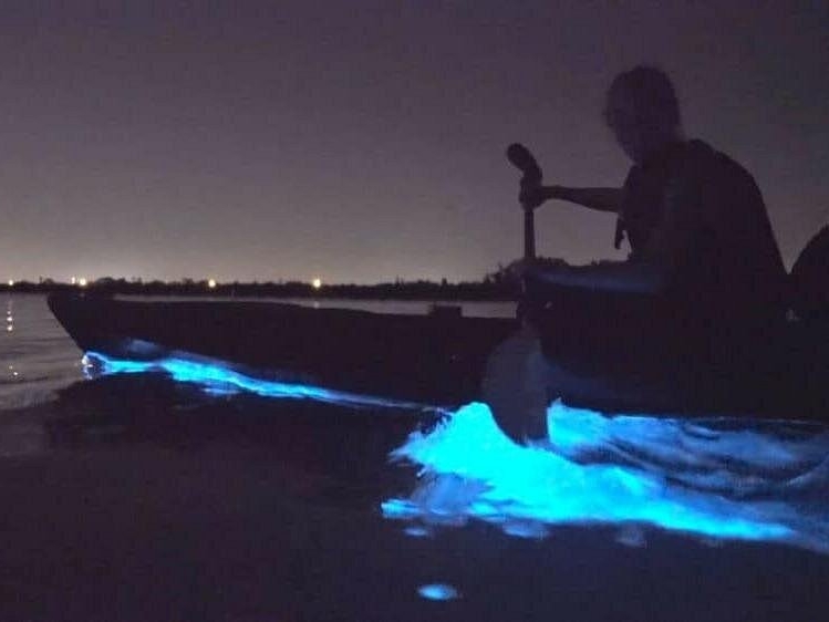 Bioluminescence Tour in Kayak