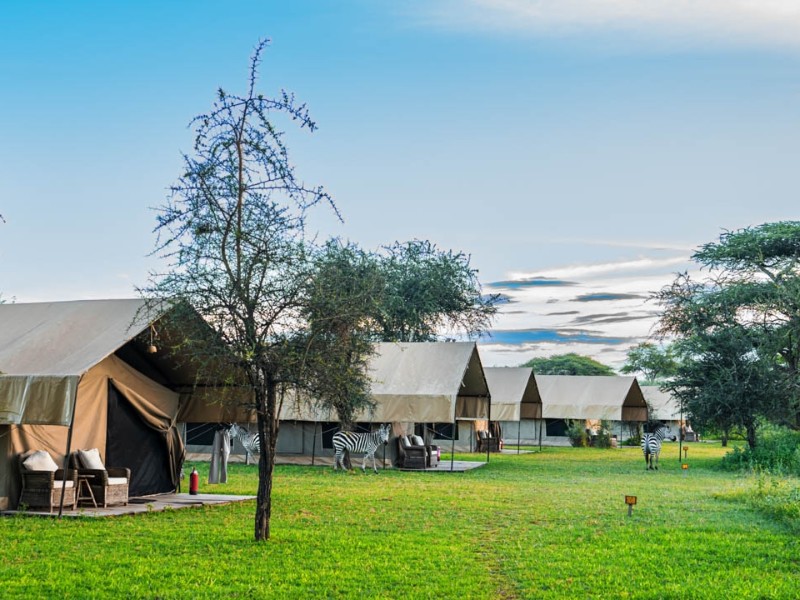 Umgebung der South Serengeti