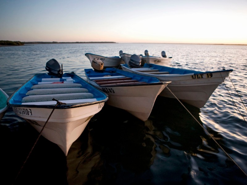 López Mateos - Pangaboote