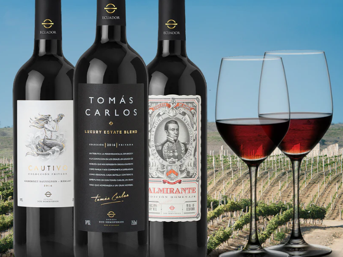 Dos Hemisferios City Winery - Weinsorten