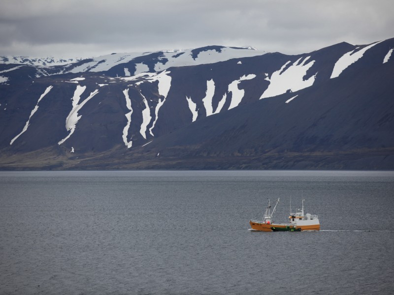 Iceland - East Fjords