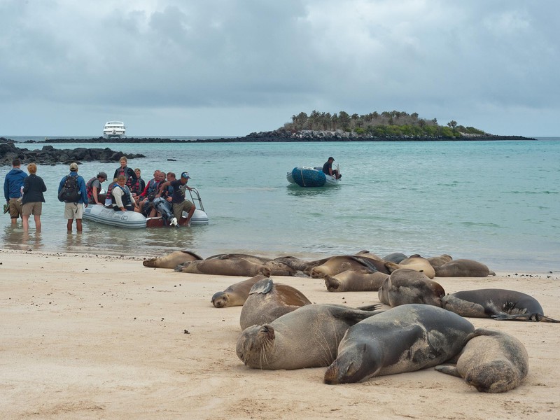 Ausflug auf der Galapagos Inseln
