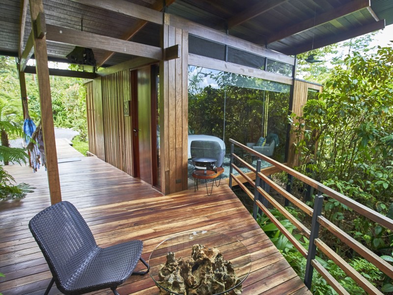 Ecolirios - Jungle Suite