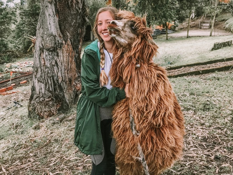 Lama at Hosteria Papagayo