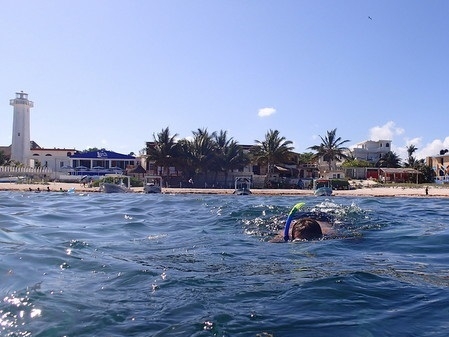 Puerto Morelos - Schnorcheln