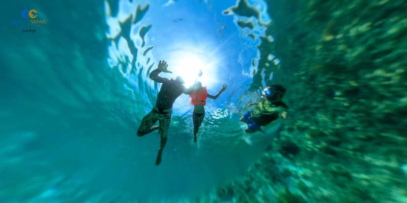 Mnemba Island, Zanzibar