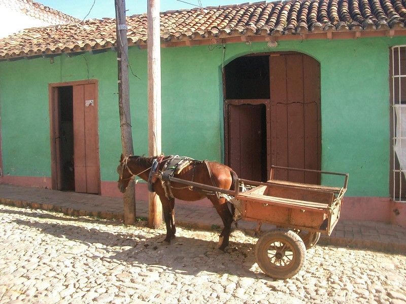 Kutsche