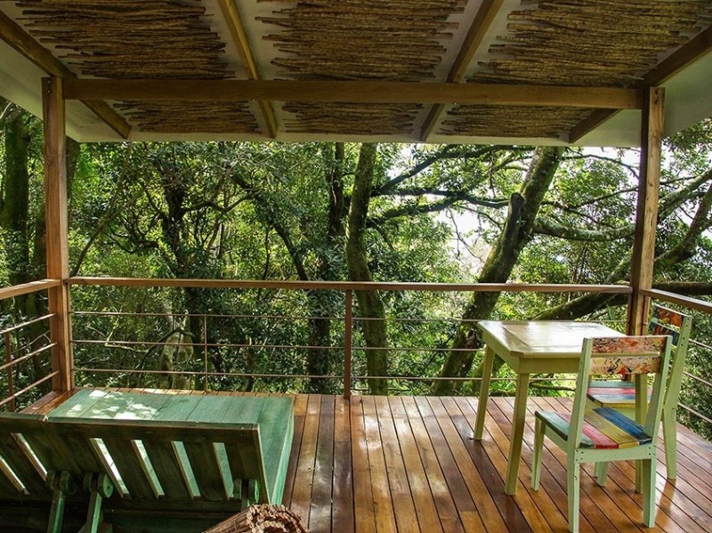 Chayote_Terrasse 