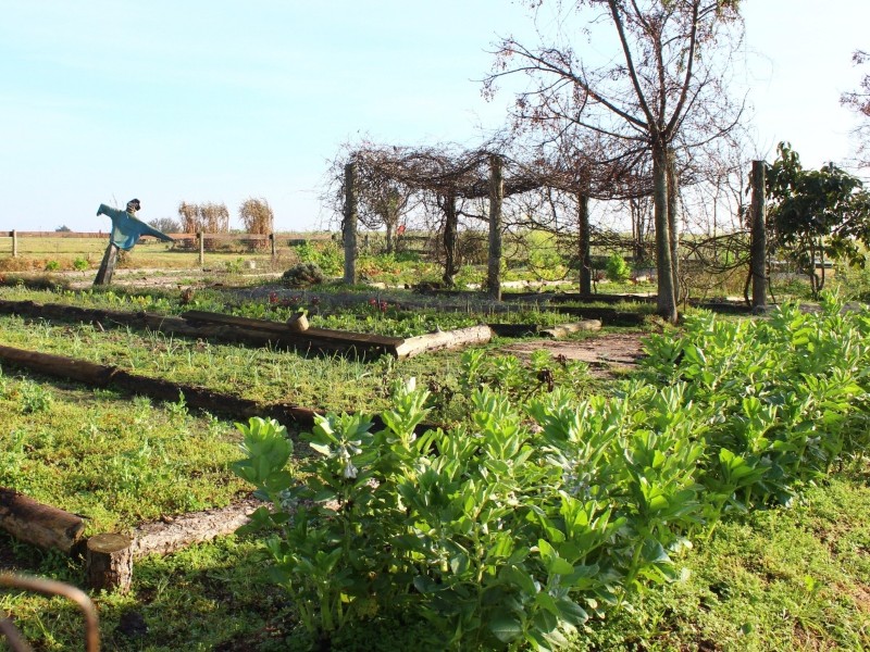 La Bendición Lodge - Gemüsegarten