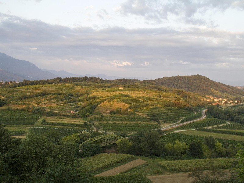 Vipava Valley