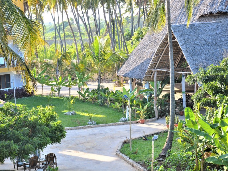 Reef and Beach Garden