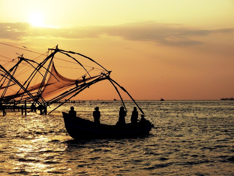 Fishing boats