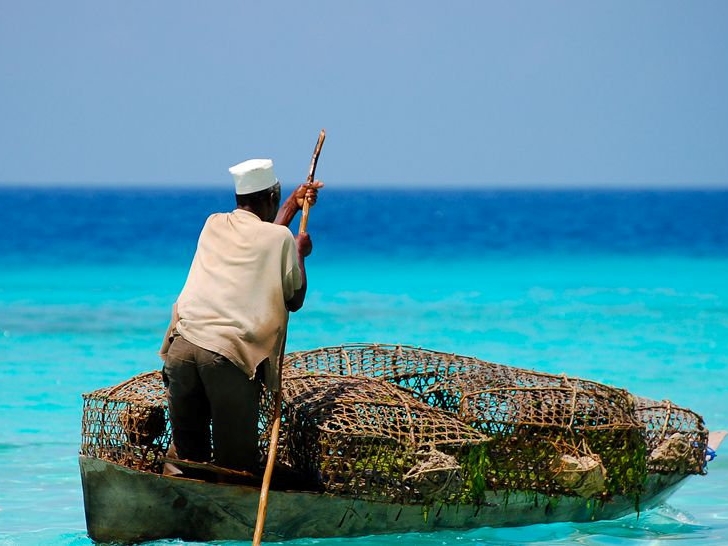 Tanzania - Zanzibar