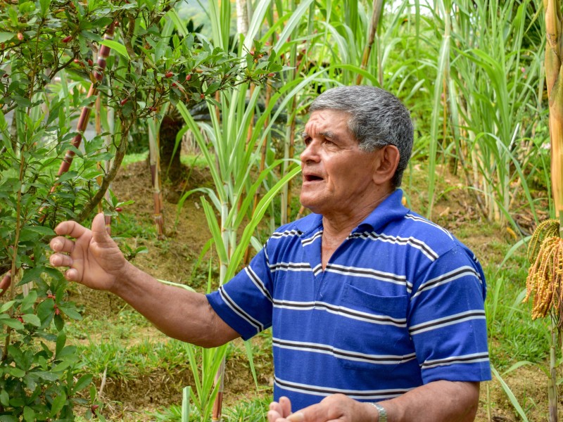 Los Campesinos - Besondere Erlebnisse