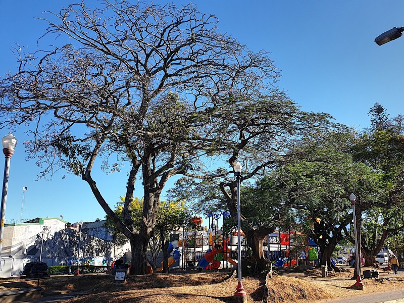 Alajuela