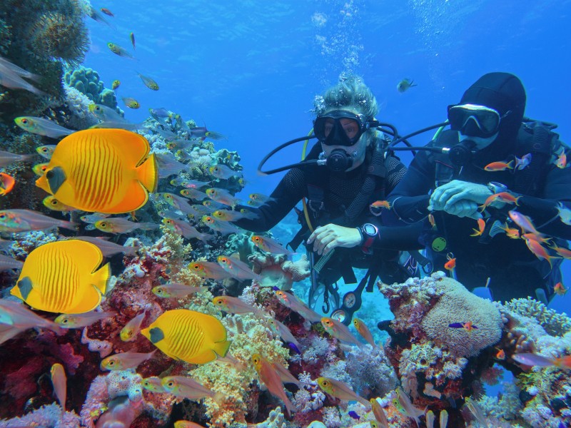 Diving in Hurghada 