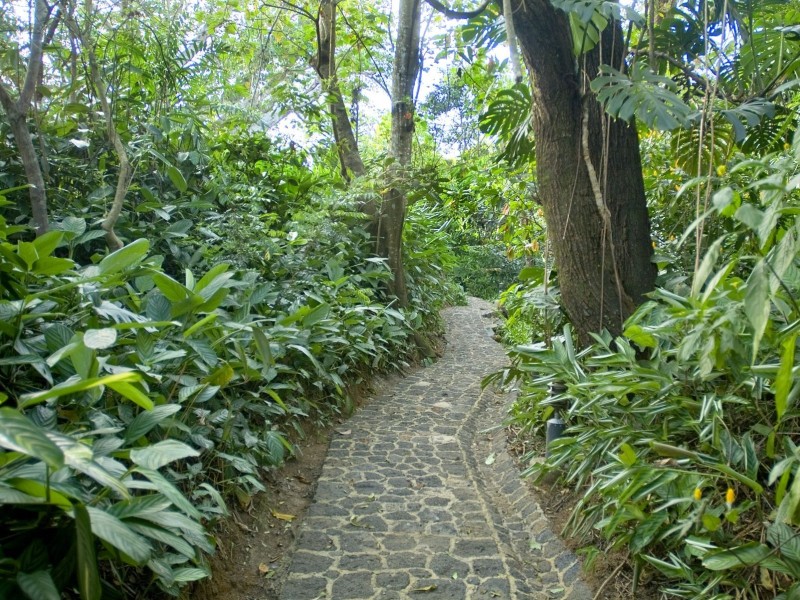 Finca Rosa Blanca - Garten