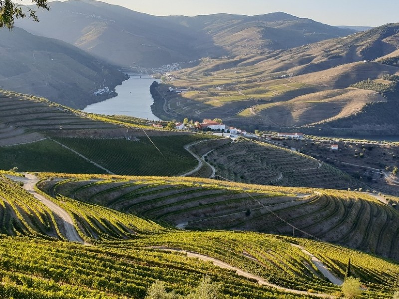 DOURO VALLEY