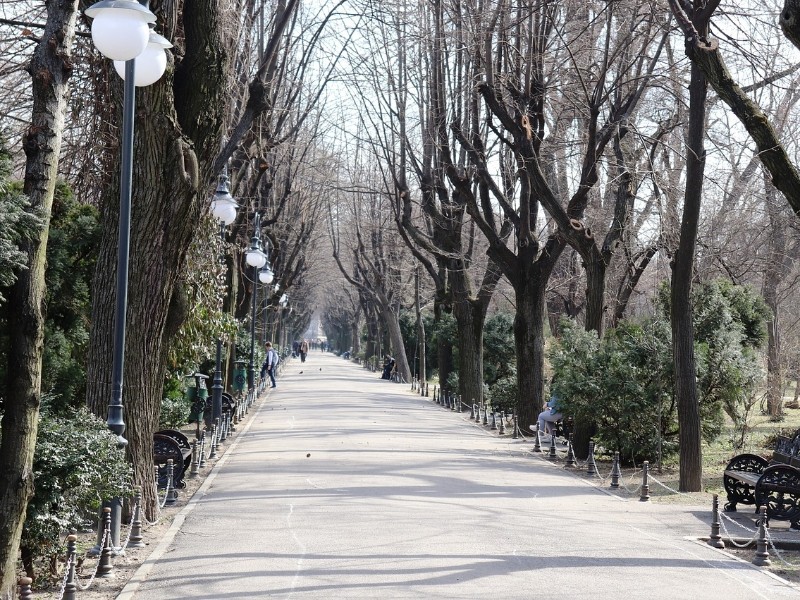 Bucharest Park