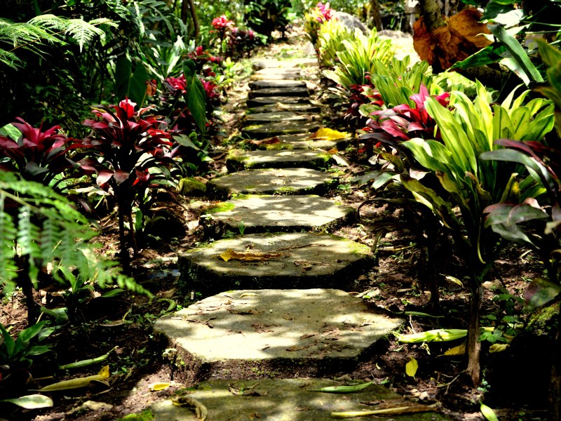 Guayabo Lodge - Wanderwege