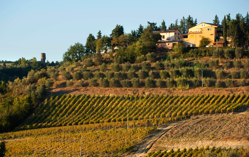 Chianti