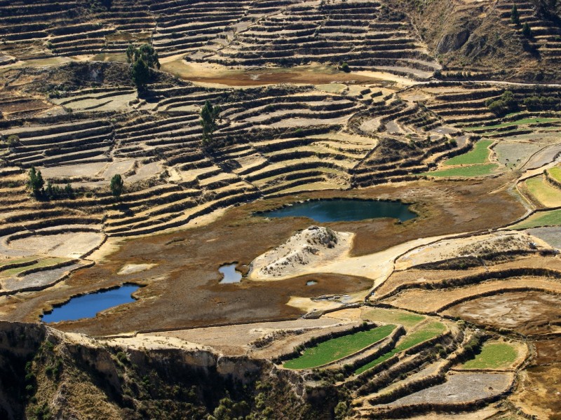Colca  Canyon