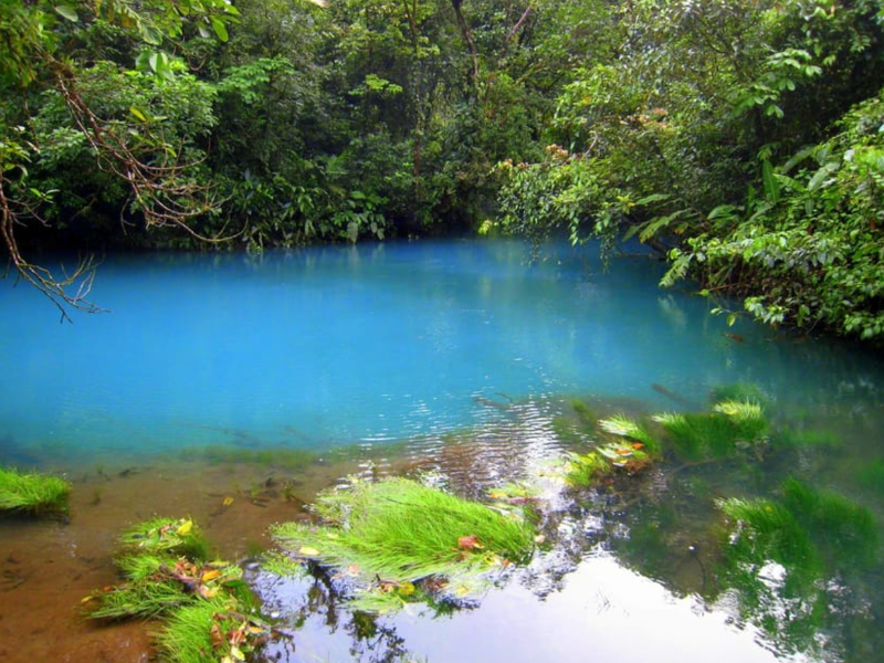 From La Fortuna: Rio Celeste Full-Day To