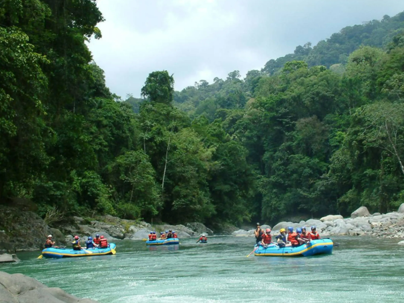 Pacuare Raging Rapids & Jungle Adventure