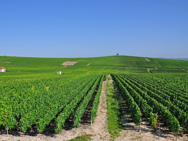 France - Epernay