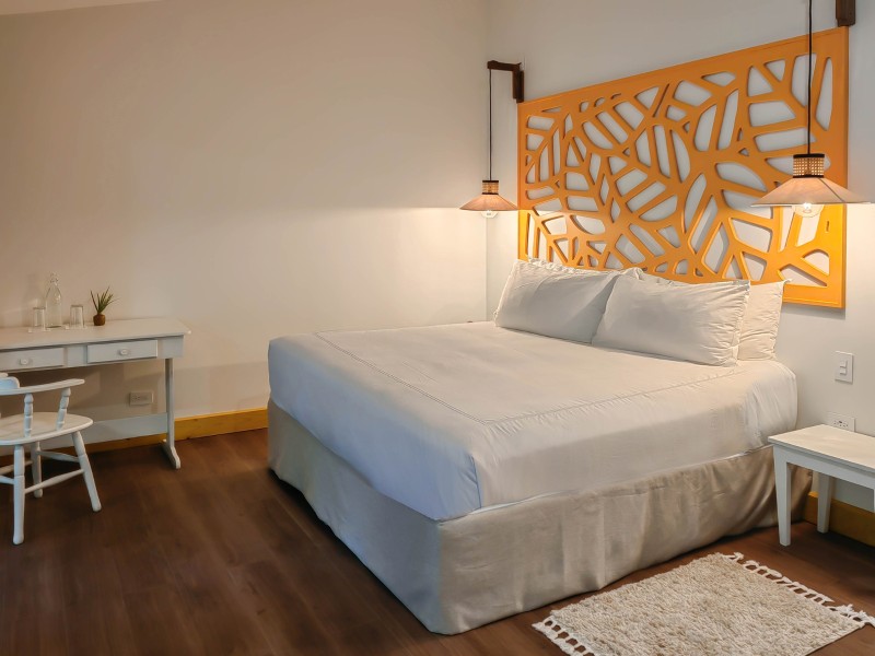 Cloud Forest Lodge Boena Manakin 4