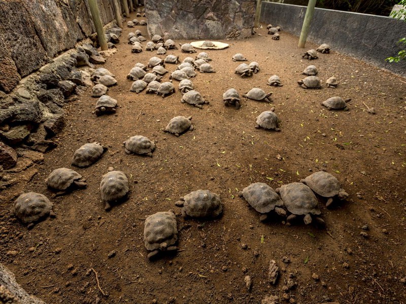 Charles Darwin Station