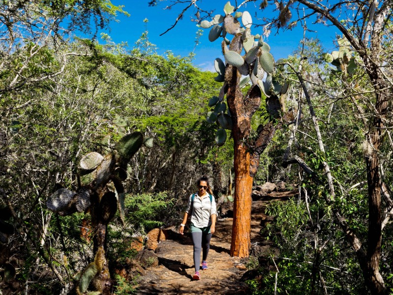 Ausflug nach Los Grietas