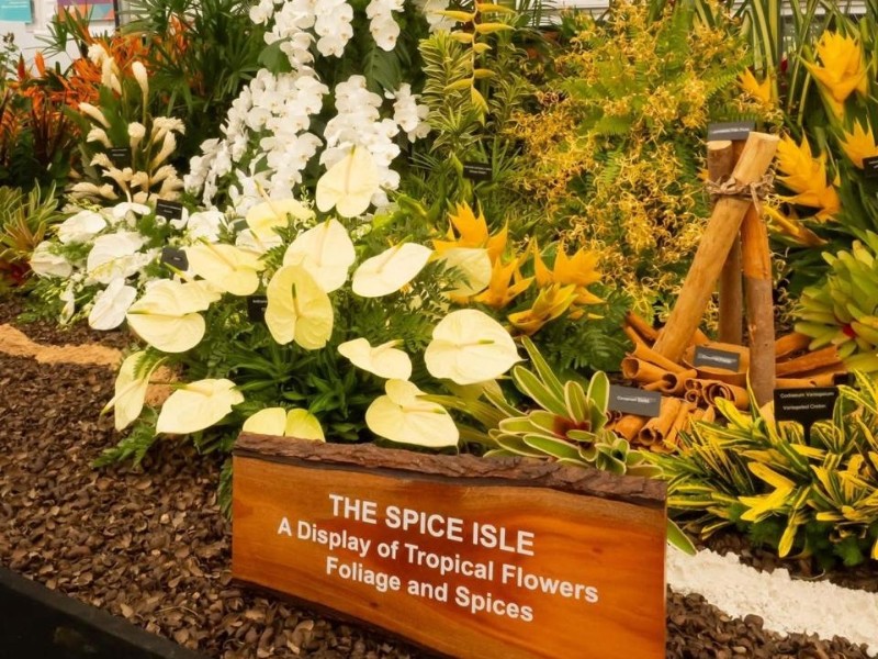 Grenada Flower Show