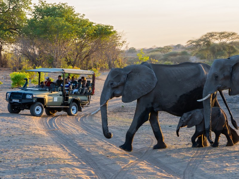 Safari der Elephant Valley Lodge
