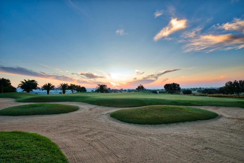 Citrus GC II