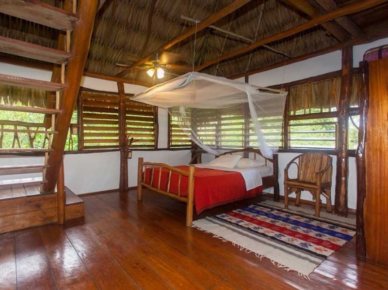 Cotton Tree Lodge - Cabaña