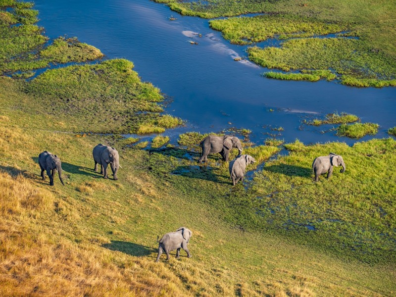 Luftaufnahme-Okavango Delta-Botswana
