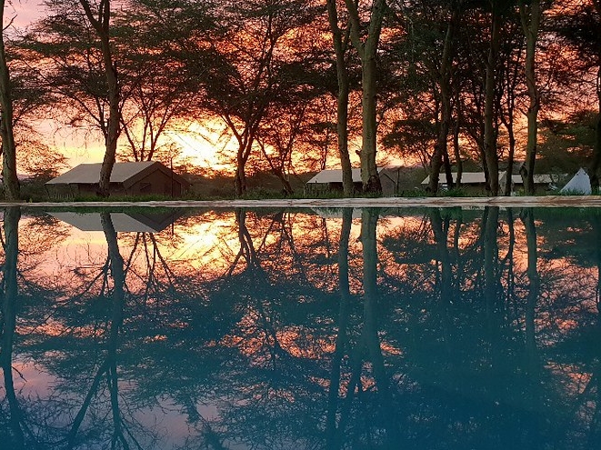 Africa Safari Lake Manyara Swimming Pool