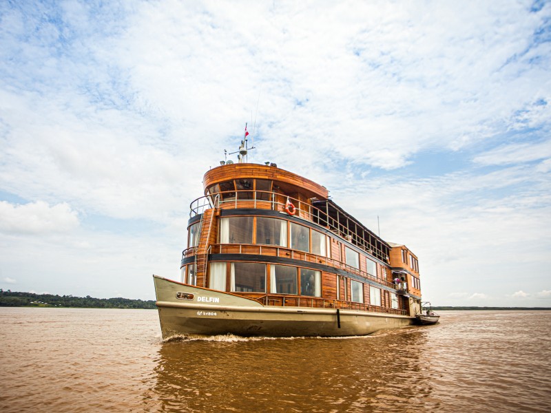 Die Delfin II