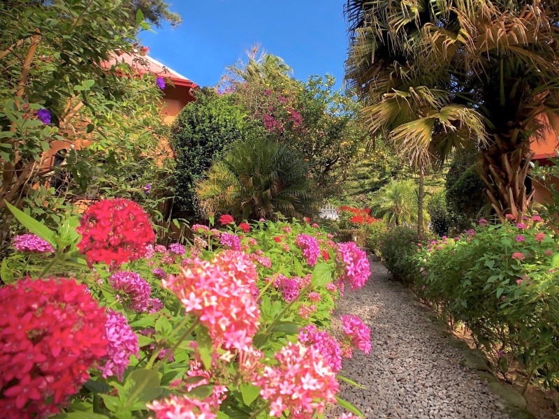 Boquete Garden Inn - Garten