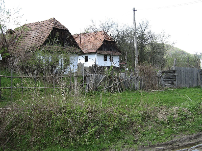 Albesti Homes