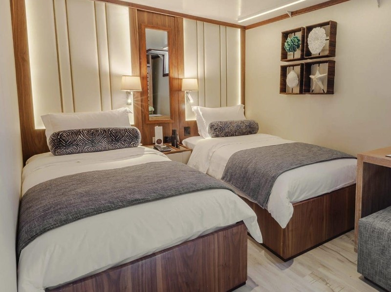 Darwin Deck Twin Deluxe Statrooms