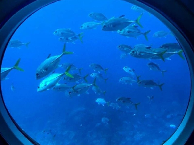 Atlantis Submarine Night Dive