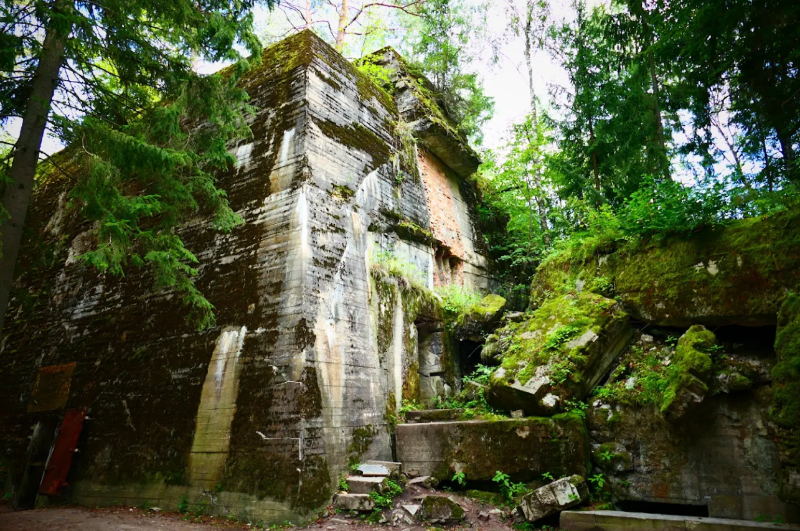 Wolf's Lair