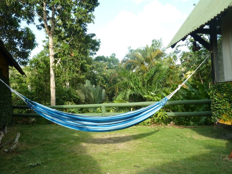 Hammock