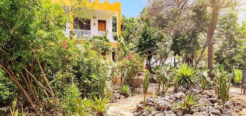 Reef and Beach Garden