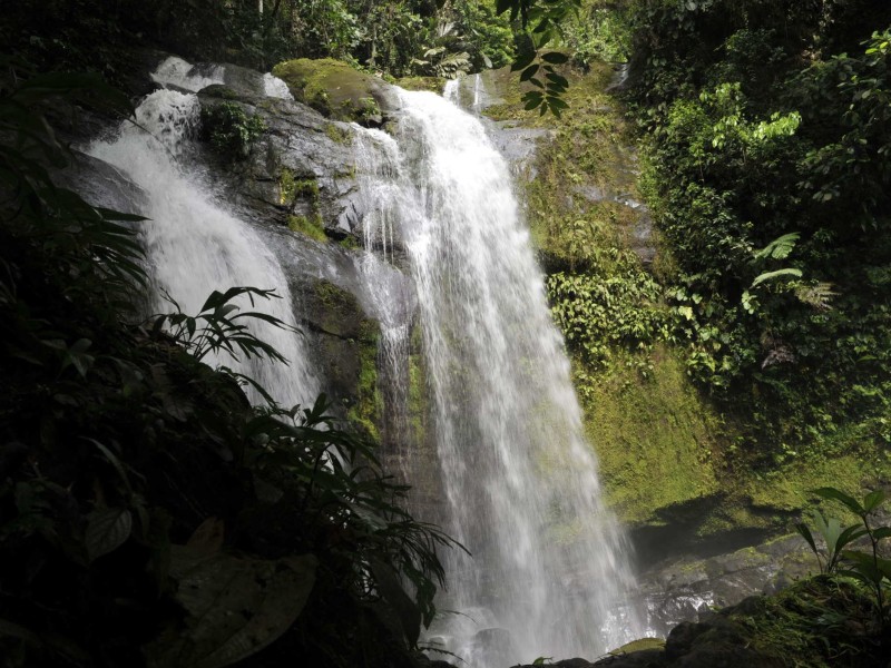 Cahuita - Cahuita Nationalpark