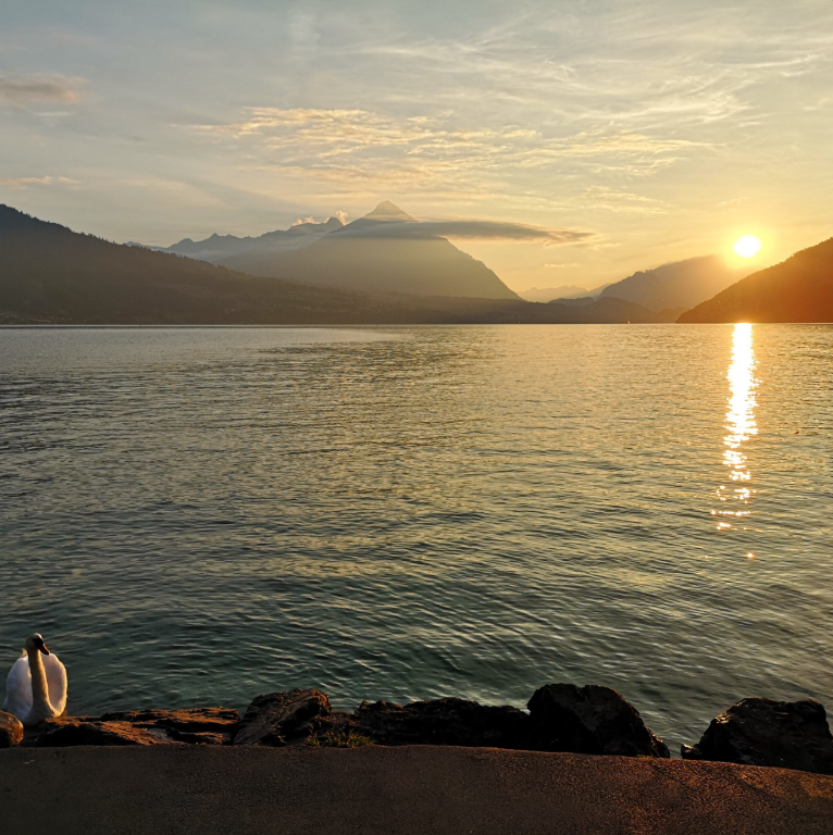 Lake Thun Interlaken