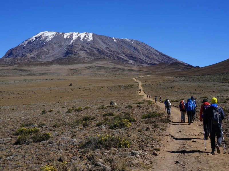 Kilimanjaro