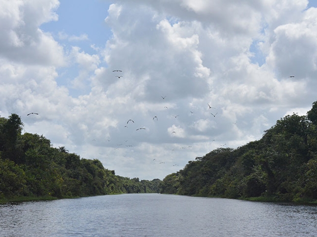 Mahaica River